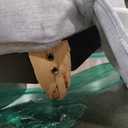 Martha Stewart London Upholstered Skirted Dining Arm Chair with Casters – Curved Back, Removable Seat Cushion, for Dining Room, Home Office, or Living Space, Light Blue