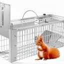 AMVOG Live Animal Cage Trap, Durable Humane Animal Trap for Squirrels, Weasels, Chipmunks, and Small Animals, Easy Catch & Release (1 Trap) (Silver)