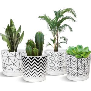 Ton Sin Plant Pots,5.5 Inch White Pots for Indoor Plants with Drainage Holes,Cylinder Flower Pot Ceramic Planters with Saucer,Cactus Succulent Outdoor Garden Pots Set of 4