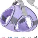 Petank Dog Harness for Small Medium Dogs No Pull, Puppy Harness and Leash Set, Step in Dog Harness for Walking, Running, Training, Small Dog Vest (Purple, S)