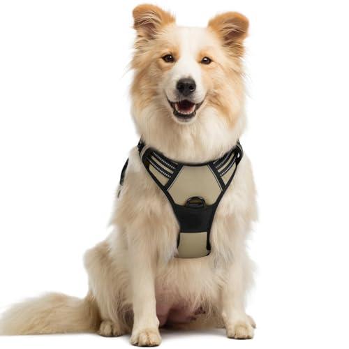 rabbitgoo Dog Harness No Pull with 2 Leash Clips, Adjustable Soft Padded, Reflective Oxford No Choke Pet Vest with Easy Control Handle for Medium Sized Dogs, Beige, M