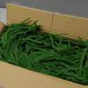 Artificial Greenery Fern Plants-29.92″