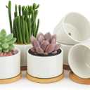 ZOUTOG Ceramic Succulent Pots,3.6 Inch Plant Pots,Succulent Planters with Drainage Hole & Bamboo Tray for Indoor Plants,White Small Flower Planters for Home,Office,Desk(6 Pack)