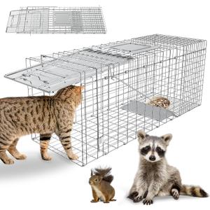 Humane Live Animal Trap, Heavy Duty Folding Raccoon Traps Cage for Cat, Squirrel, Skunk, Raccoon, Fox Catch and Release Large Size 31.1 * 11 * 12.6 Inch