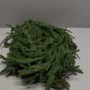 12ft(2x6ft) Norfolk Pine Garland Realistic, 72" Soft Artificial Christmas Greenery Garland for Mantle, Stair Railings, Fireplace, Outdoor Xmas Holiday Decor