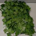270 Feet 36 Pack Fake Greenery Hanging Garland, Artificial Ivy Leaf Plants, Vine Leaves, Flowers Foliage for Bedroom Garden Wall Decor