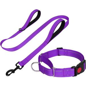 FunTags Reflective Martingale Collar for Dogs, Quick Release Buckle, 5FT Double Handle Dog Leash Padded, Dog Collar and Leash Set, Adjustable for Medium Dogs (Purple, M)