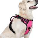 rabbitgoo Dog Harness for Large Dogs, No Pull Pet Harness with Soft Padded Handle, Adjustable Reflective Vest with 3 Buckles, Easy Walking Harness with 2 Leash Clips, Pink, Size L