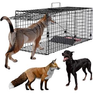 Humane Large Animal Trap Black 51.2 x 17.7 x 19.7 inch, Easy to Set & Release Animal Trap Cage, Collapsible Live Traps for Dogs, Raccoons, Foxes, Coyotes
