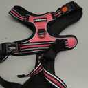 rabbitgoo Dog Harness for Large Dogs, No Pull Pet Vest with 3 Buckles, Adjustable Soft Padded Pet Harness with Easy Control Handle and Reflective Strips, Pink, L