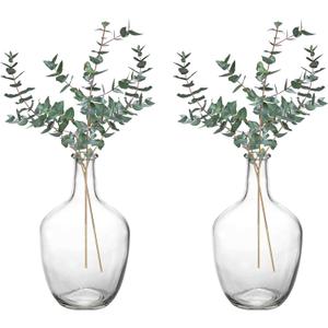 Hacaroa 2 Pack Clear Stout Glass Vases, 10 Inch Small Decorative Balloon Jug Vases Single Bud Neck Flower, Handmade Vintage Flower Vase for Tabletop, Centerpiece, Home, Hotel Decoration