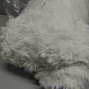 BENRON White Fluffy Rugs for Living Room 4x6, Soft Cream Area Rug for Kids Children Girls Bedroom Nursery, Washable Indoor Floor Carpets