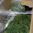 Artificial Cedar Topiary Ball Tree 20" Fake Cypress Trees Faux Evergreen Shrub Plants for Home Porch Garden Outdoors Decor Set of 2