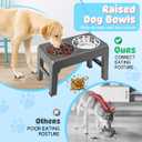 URPOWER Raised Dog Bowls 4 Height Adjustable Elevated Bowl Stand with Stainless Steel Water Bowl Non-Slip Dog Food Bowls Stand for Small Medium Large Dogs and Pets, Gray