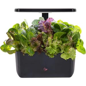 AeroGarden Harvest 2.0, Indoor Garden Hydroponic System with LED Grow Light, Holds up to 6 AeroGarden Pods, Black