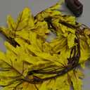 LITBLOOM Lighted Fall Garland with Timer 6FT 24 Warm White LED, Maple Leaf Vine with Lights Battery Operated for Mantle Fireplace Autumn Thanksgiving Harvest Decoration Indoor Outdoor