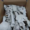 5.4Ft Halloween Skeleton - Life Size Full Body Realistic Human Bones with Posable Joints for Halloween Pose Skeleton Prop Decoration