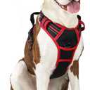 rabbitgoo Dog Harness No Pull with 2 Leash Clips, Adjustable Soft Padded, Reflective Oxford No Choke Pet Vest with Easy Control Handle for Large Dogs, Black & Red, L
