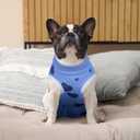 BRKURLEG Small Dog Recovery Suit After Surgery Female Male, Abdominal Wound Protection, Back Zipper Spay Recovery Suit for Dogs & Cats, Soft Anti-Licking Puppy Onesie Pajamas, Cone Alternative, XS
