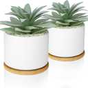 Hopewood Artificial Succulents Plant, Faux Agave Succulent Plant in Ceramic Pots with Bamboo Tray, Fake Potted Plants for Office Desk Living Room Decor(Set of 2)