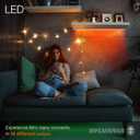 Sylvania LED Mosaic Flexible Light Expansion Kit for Starter Kit with Remote Control, Full Color, 2 2ft RGBW Strips (65483) (Indoor - Plug In - Expansion Kit)