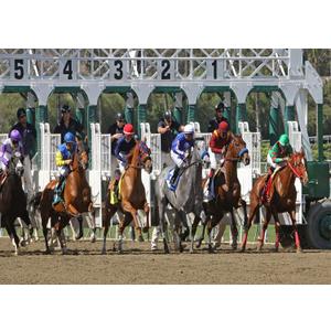 BELECO 7x5ft Fabric Derby Party Backdrop Horse Racing Backdrops for Photography Racecourse BackgroundDerby Party Decoration Supplies Banner Photo Booth Studio Props Wallpaper