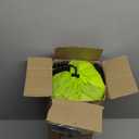 Camping Tent 2-4 Person, Waterproof Windproof Tent with Rainfly Easy Set up-Portable Dome Tents for Camping
