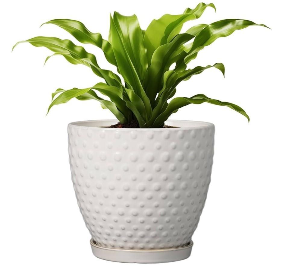G EPGardening 7 Inch Ceramic Plant Pot with Drainage Hole and Saucer Round Planter Decorative Flower Plant Pot for Indoor Plants Outdoor White
