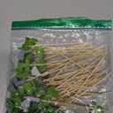 200pcs Golf Cocktail Picks, 4 Style Wooden Golf Drink Stirrers Decorative Martini Skewers Exquisite Cocktail Appetizer Picks for Party Decorations Supplies