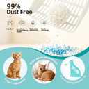 Tapioca Cat Litter, Cassava Cat Litter Odor Control Dust-Free Clumping Litter