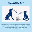 Dental Powder & Pet Teeth Cleaning Powder Kit for Dogs & Cats  Complete Oral Care Kit for Clean Teeth & Fresh Breath  Includes Dog Paw Balm, Nose Balm & Protective Paw Wax (1.76 Ounce (Pack of 1))