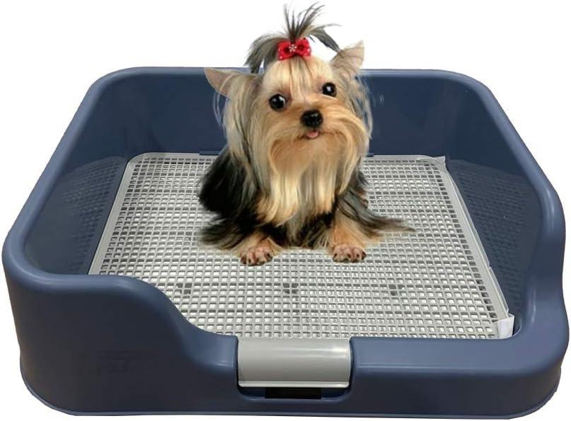 [PS KOREA] Indoor Dog Potty Tray  with Protection Wall Every Side for No Leak, Spill, Accident - Keep Paws Dry and Floors Clean! (Blue)