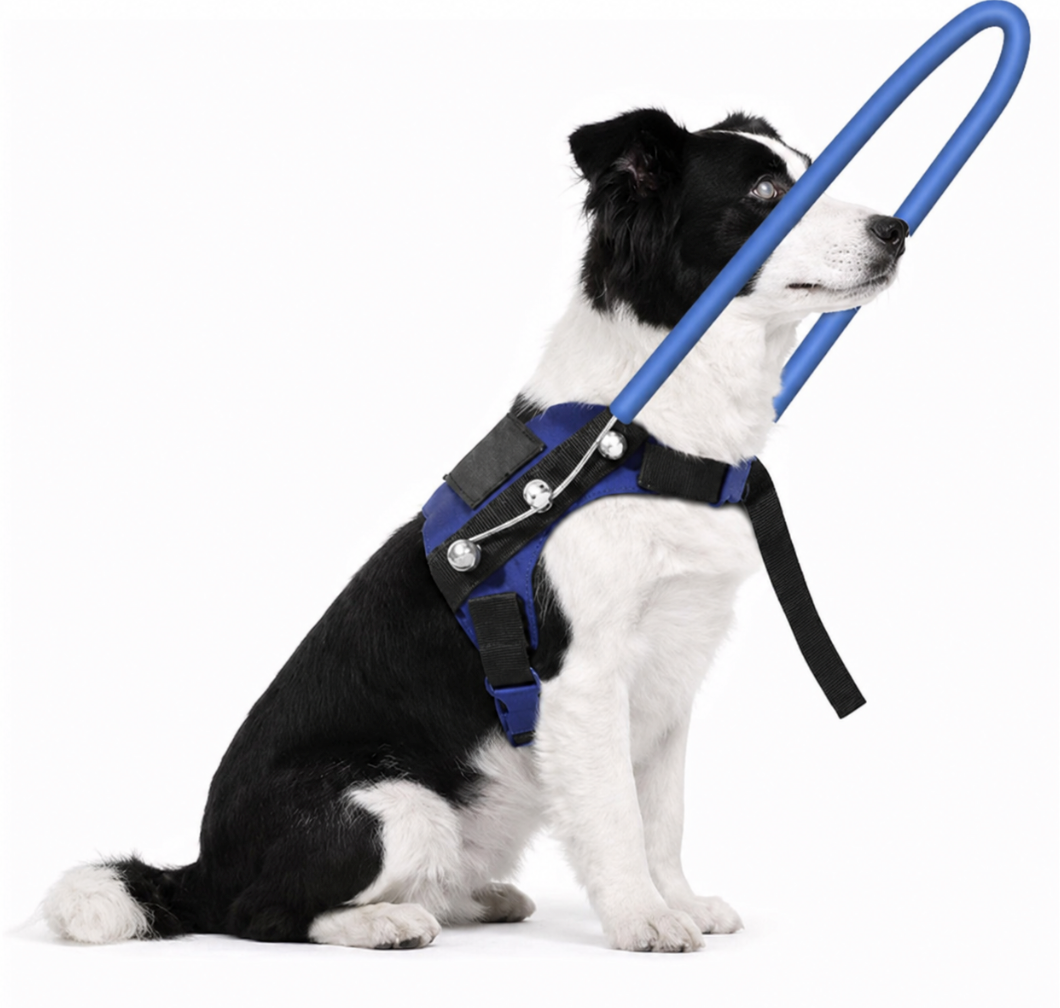 Blind Dog Harness with Protective Halo Ring, Adjustable Protective Collar and Navigation Aid for Visually Impaired Dogs, Safe Mobility Support Tool (9-13In)