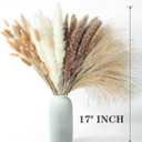 200PCS Dried Flower Bouquet Pampas Grass, Floral Decor for Home, Wedding, and Boho Style | Perfect for Vases, Fall, Spring, Summer, and Winter Arrangements