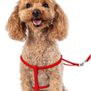 CollarDirect Rolled Leather Dog Harness Small Puppy Step-in Leash Set for Walking Pink Red White Blue Green Black Purple Beige Brown Yellow (Red, S)