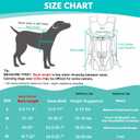 Lukovee Dog Backpack Carrier, Legs Out Easy-fit Dog Front Carrier for Small Medium Dogs, Adjustable Hands Free Dog Chest Carrier for Hiking Cycling (B,Medium)