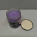 Lilac Blossom Odor Eliminating Highly Fragranced Candle - Eliminates 95% of Pet, Smoke, Food, and Other Smells Quickly - Up to 80 Hour Burn time - 12 Ounce Premium Soy Blend