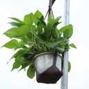 Dnyta Flower Pot Holder Hanging Black 33 Inch Leather Plant Hanger Hanging Planter Basket Leather Plant Hangers for Indoor Outdoor Garden