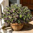 Artificial Plants Outdoor, 5 Bundles Faux Coleus Plants UV Resistant Fake Silk Greenery Leaves with Stems for Outside Front Porch Patio Garden Planter Decoration (Brown)