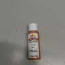 Delta Creative Ceramcoat Acrylic Paint in Assorted Colors (2 oz), 2071, Terra Cotta