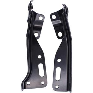 ApplianPar Hood Hinges Driver and Passenger Side for Honda Accord 2008-2012, Crosstour 2010-2015