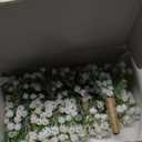 Ling's Moment Boutonniere for Men, 10pcs Groomsmen Guest Boutonniere with Built-in Pins, Artificial Flowers for Wedding Dcor/Prom/Homecoming,etc.Baby Breath White