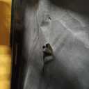 Emerald Homes Heath Navy Blue Sofa 82"Width x 37"Depth x 32"Height And Two Matching Navy Blue Pillows