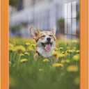 Renditions Gallery 8x10 inch Picture Frame High-end Modern Style, Made of Solid Wood and High Definition Glass Ready for Wall and Tabletop Photo Display, Orange Frame