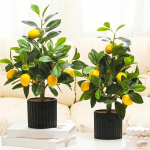 Giegxin 2 Pcs Artificial Lemon Tree 15.7 Inches Fake Artificial Potted Plants Faux Lemon Citrus Tree with Pot Faux Plants Indoor for Home Kitchen Office Living Room Table Desk (Black Pot)