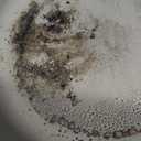 Redchef Ceramic Coated Nonstick Frying Pan with Cover, Large Deep Saute Pan Skillet, Induction Ready, Dishwasher Safe, PFOA PFOS Free, Non Toxic, Glass Lid Large Deep Frying Pan, Grey (5.5Qt, 12") (Gray)