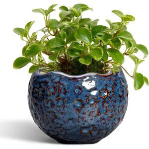 Ceramic Pots for Plants - 4 inch Plant Pots for Indoor Outdoor, Small Planter with Drainage Hole, Unique Flower Pot, Decorative Modern Round Planter, Office Decor, Home Gifts, Retro Blue
