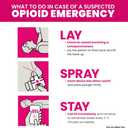 NARCAN Nasal Spray 4 mg, Emergency Treatment of Opioid Overdose, 2 Single-Dose Devices