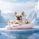 BurgeonNest Cooling Small Dog Pillow for Puppies and Cats (Cool Pink, Medium)