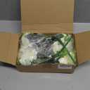 4 Bunches Green Peony Artificial Flowers for Decoration Faux Rose Fake Bouquet Silk Arrangements Table Centerpiece for Vase Cake Topper Bridal Baby Shower